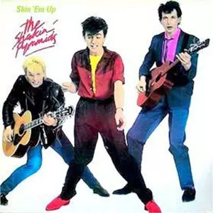 SHAKIN' PYRAMIDS / シェイキンピラミッズ商品一覧｜OLD ROCK