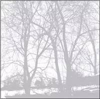 envy / COMPILED FRAGMENTS 1997-2003