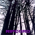 RIPCORD / DISCOGRAPHY PART 3 (LP)