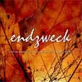 ENDZWECK / WE ARE NOT PESSIMISTIC REVOLUTIONIZE THE WORLD TO BE PEACE 1998-2000
