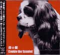 COOKIE THE SPANIEL/白☆星/シロボシ｜PUNK｜ディスクユニオン・オンラインショップ｜diskunion.net