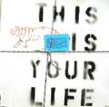 V.A. / オムニバス / THIS IS YOUR LIFE (レコード)