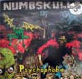 NUMBSKULLS / ナムスカルズ / PSYCHOPHOBIA (レコード)