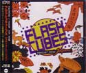 FLASH CUBES / フラッシュキューブス / ROCKIN’ OVER JAPAN