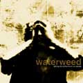 waterweed / KILLING THE EARTH MEANS OUR SUICIDE