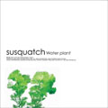 susquatch / サスカッチ / WATER PLANT