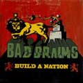 BAD BRAINS / バッド・ブレインズ / BUILD A NATION (レコード)