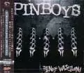 PINBOYS / ピンボーイズ / TEENAGE WASTELAND