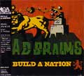 BAD BRAINS / バッド・ブレインズ / BUILD A NATION (国内盤)