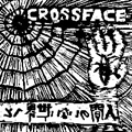 CROSSFACE / クロスフェイス / 人間のいない世界へと
