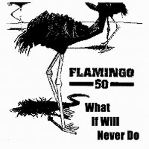 FLAMINGO 50 / フランミンゴフィフティー / WHAT IF WILL NEVER DO