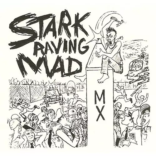 STARK RAVING MAD / AMERIKA