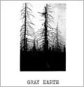 邦楽 ACID GRAY EARTH LP Acid – Gray Earth | Releases | Discogs
