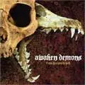 AWAKEN DEMONS / アウェイクンデモンズ / FROM HEAVEN TO HELL