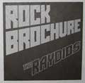 RAYDIOS / ROCK BROCHURE (7")