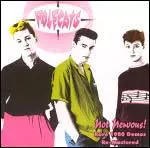 NOT NERVOUS!/POLECATS/ポールキャッツ｜PUNK｜ディスクユニオン