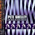 PETE SHELLEY / THE BEST OF PETE SHELLEY