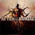 AFTER THE BURIAL / アフター・ザ・ベリアル商品一覧｜PUNK｜ディスク ...