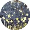 ISIS / アイシス / WAVERING RADIANT (レコード) (初回プレス完全限定盤)