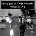VA (PESSIMISER RECORDS) / CRY NOW, CRY LATER VOL.1 & 2