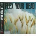 V.A. (DISCHORD RECORDS) / オムニバス (DISCHORD RECORDS) / FLEX YOUR HEAD (帯・ライナー付き)