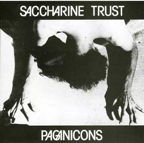 SACCHARINE TRUST商品一覧｜ディスクユニオン・オンラインショップ