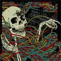 REHASHER / リハッシャー / HIGH SPEED ACCESS TO MY BRAIN (レコード)