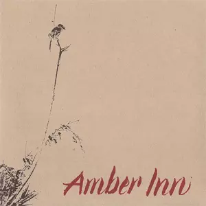 amber inn レコード AMBER INN / アンバーイン商品一覧｜HARD ROCK / HEAVY METAL