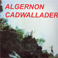 ALGERNON CADWALLADER / FUN (7")