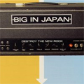 BIG IN JAPAN / ビッグインジャパン / DESTROY THE NEW ROCK