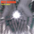 MELT-BANANA / メルトバナナ / TEENY SHINY (レコード)