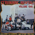 V.A. (STRUMMIN' MENTAL!) / STRUMMIN' MENTAL! VOL.1 (REAL GONE INSTRUMENTAL R&R & SURF:1958-1966)  (レコード)