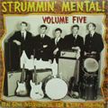 V.A. (STRUMMIN' MENTAL!) / STRUMMIN' MENTAL! VOL.5 (REAL GONE INSTRUMENTAL R&R & SURF:1958-1966)  (レコード)