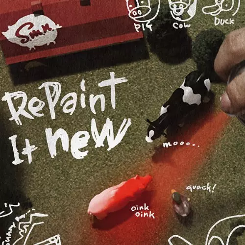 S.M.N. / Repaint It New 