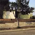 DAS OATH / ダス・オース / DAS OATH (レコード)