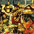 VA (PEOPLE LIKE YOU RECORDS) / WHERE THE BAD BOYS ROCK 4