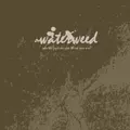 waterweed / WHO THE FUCK DO YOU THINK YOU ARE?