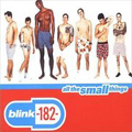 BLINK 182 / ブリンク 182 / ALL THE SMALL THINGS (レコード)