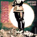 BASTARDS / バスターズ / WORLD BURNS TO DEATH