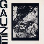 GAUZE / ガーゼ / EQUALIZING DISTORT (レコード)