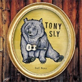 TONY SLY (NO USE FOR A NAME) / トニー・スライ / SAD BEAR (レコード)