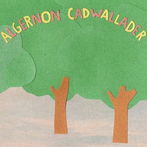 ALGERNON CADWALLADER / SOME KIND OF CADWALLADER (LP)