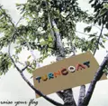 TURNCOAT / RAISE YOUR FLAG
