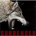 JACKAL SUS4 / ジャッカルサスフォー / SURRENDER