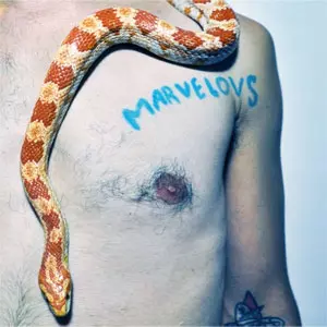 MARVELOUS DARLINGS / マーベラスダーリングス / SINGLE LIFE