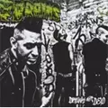 BRAINS / ブレインズ / DRUNK NOT DEAD (カナダ盤)