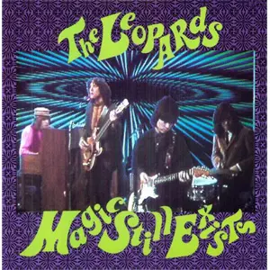 LEOPARDS (PUNK) / レパーズ / MAGIC STILL EXISTS (LP) 