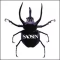 SAOSIN / セイオシン / SAOSIN