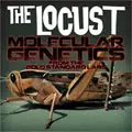LOCUST / ロカスト / MOLECULAR GENETICS FROM THE GOLD STANDARD LABS (LP)