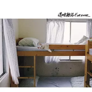 透明雑誌 CD 2枚セット